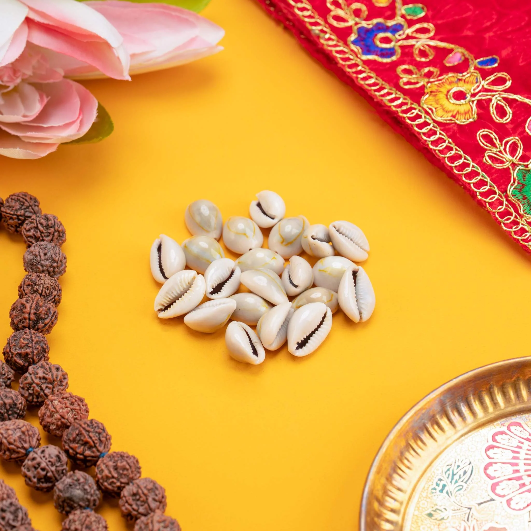 Kaudi (Cowrie, Koudi, Kodi Shells) – Pack of 11 Pcs, 21 Pcs & 51 Pcs - Image 3