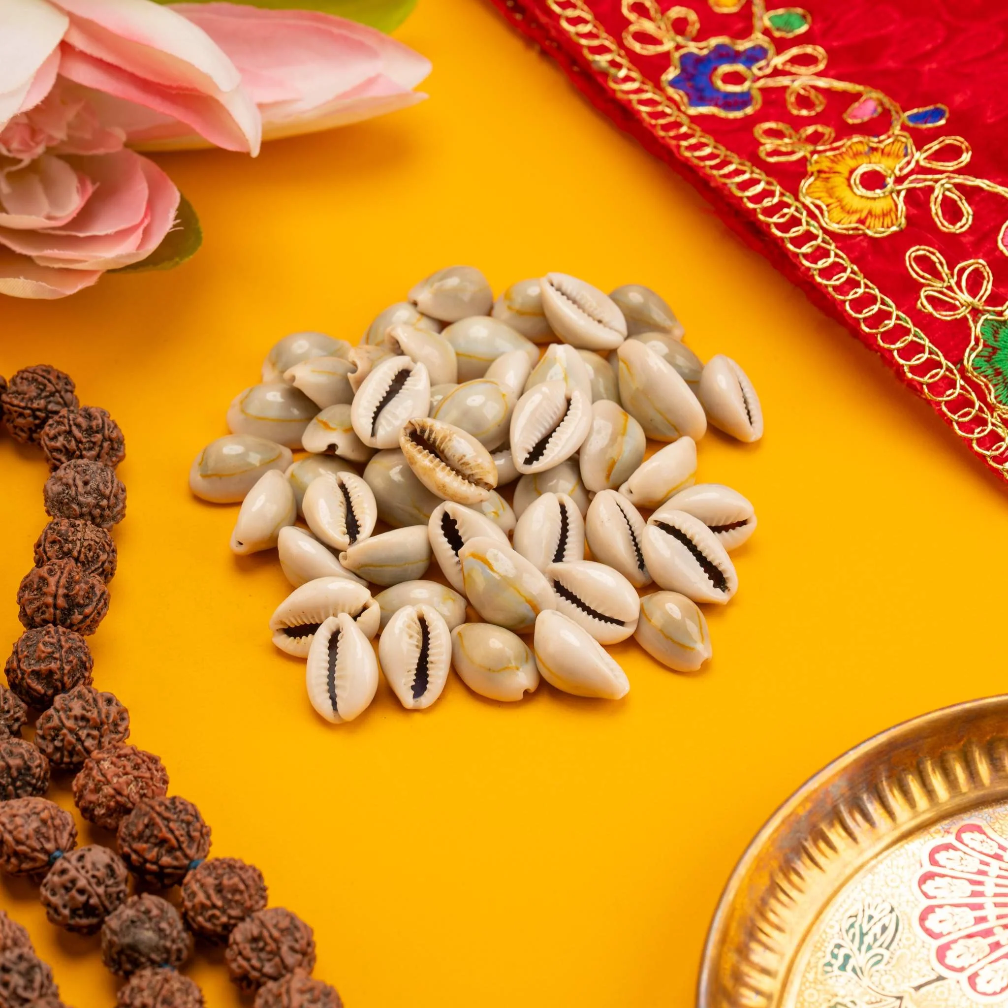 Kaudi (Cowrie, Koudi, Kodi Shells) – Pack of 11 Pcs, 21 Pcs & 51 Pcs - Image 5