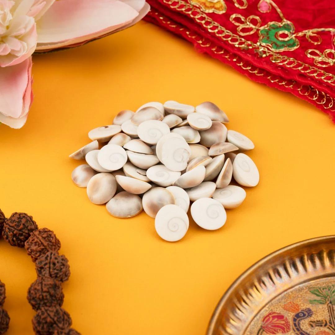 Original Gomti Chakra for Pooja – Pack of 11 Pcs, 21 Pcs & 51 Pcs - Image 3