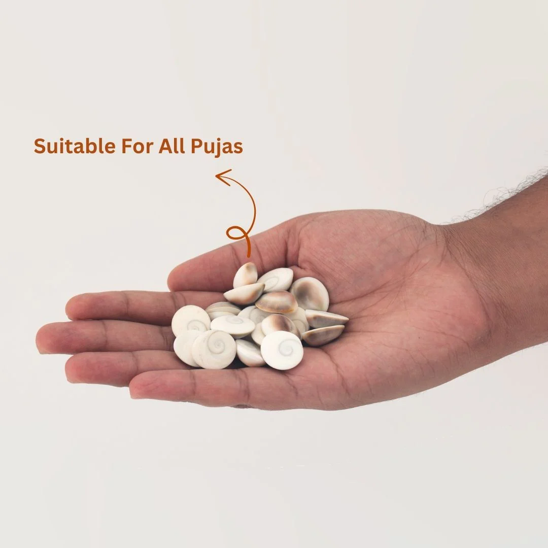 Original Gomti Chakra for Pooja – Pack of 11 Pcs, 21 Pcs & 51 Pcs - Image 4