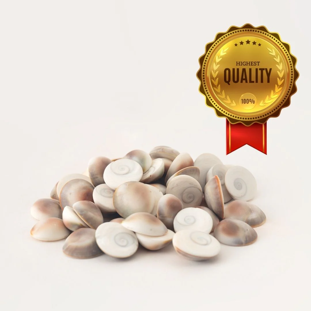 Original Gomti Chakra for Pooja – Pack of 11 Pcs, 21 Pcs & 51 Pcs - Image 5