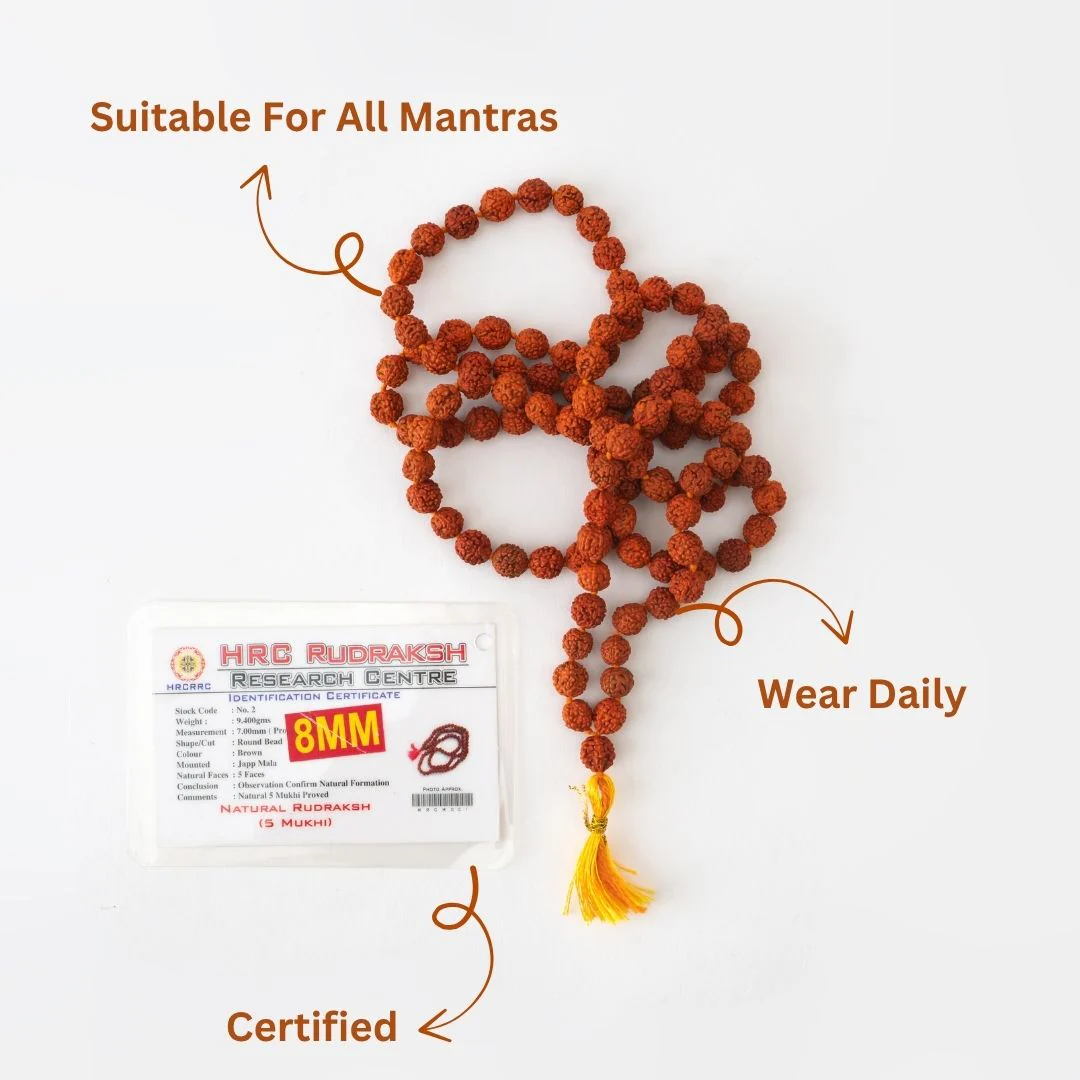 Original Rudraksha Mala (108 Beads) – Panch Mukhi Rudraksha (1 Pc) - Image 4